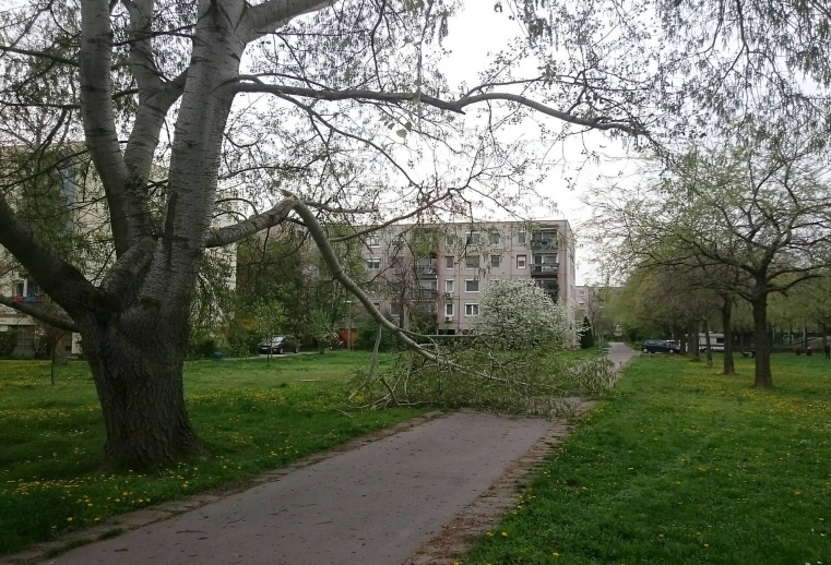 életveszély01