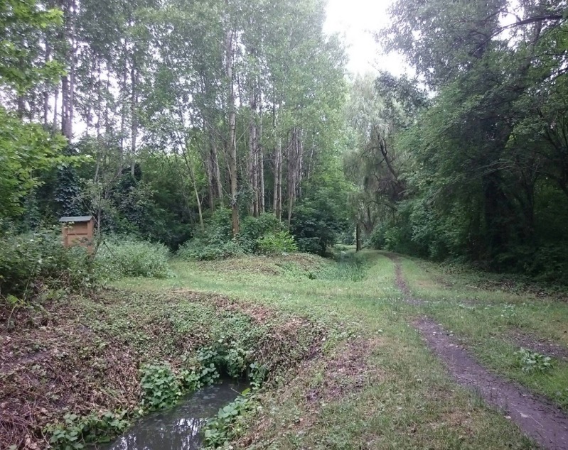 termeszetvedelmi 1