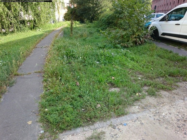 kaszálás 01