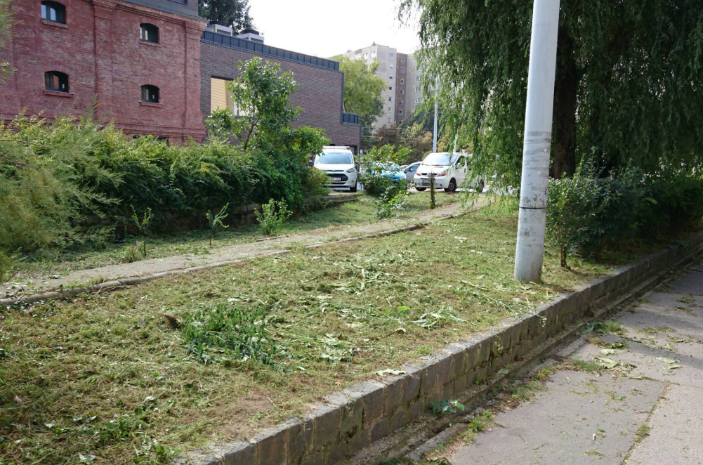 kaszálási ütemterv 01