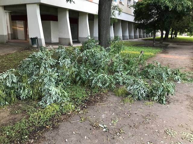 viharkárok