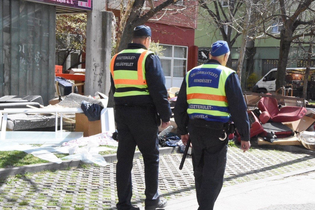 lomtalanitas harmadik nap