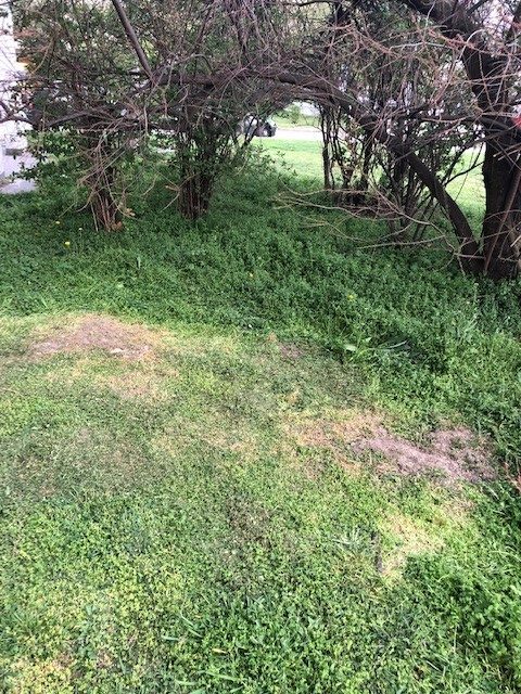 kaszalas 01 e1554364786287