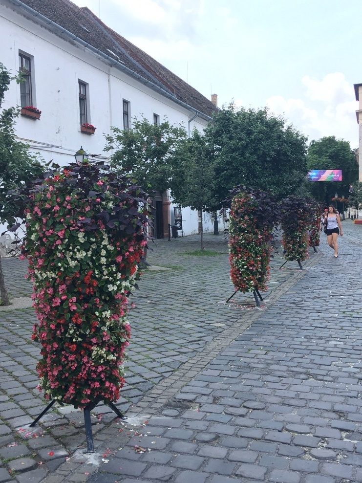 viragoszlopok1 e1560947519170