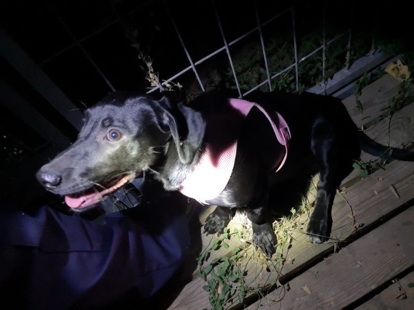 tacsko e1566823847251