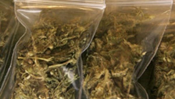 kabitoszeres elfogas