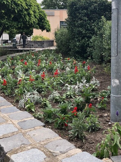 IMG 3747 e1590582537248