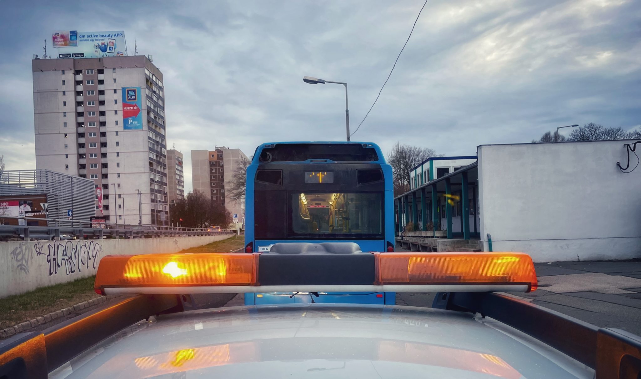 kozterulet felugyelet bogdani