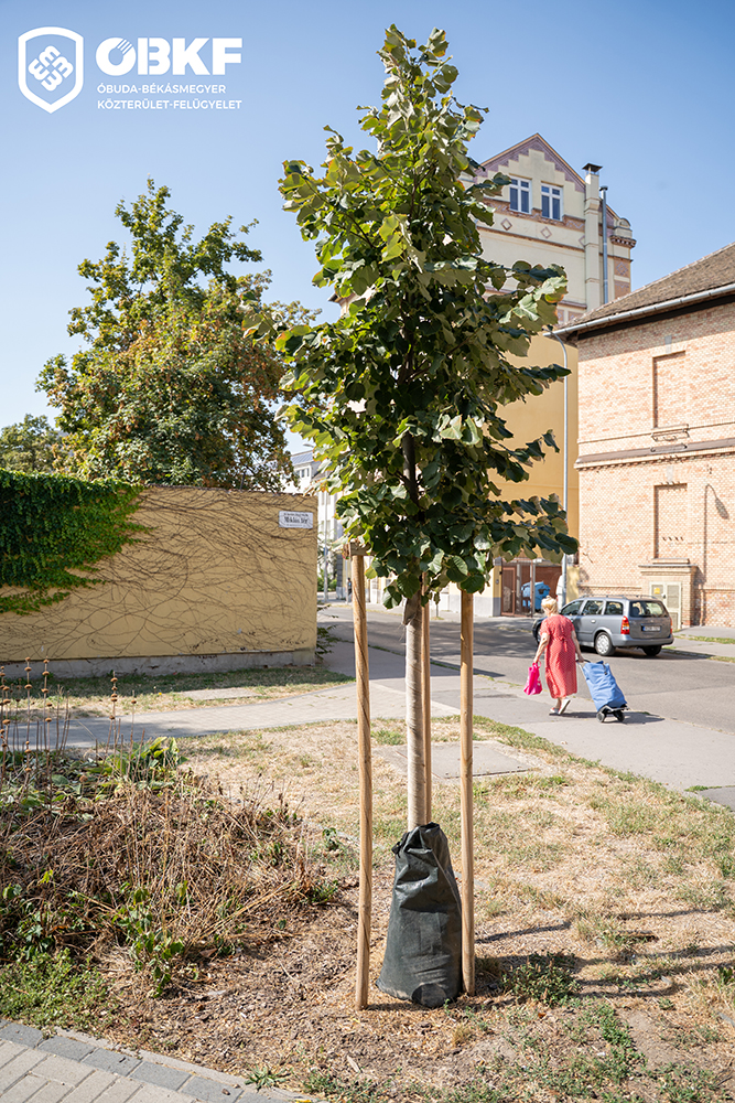 varosuzi ontozo 1 of 1