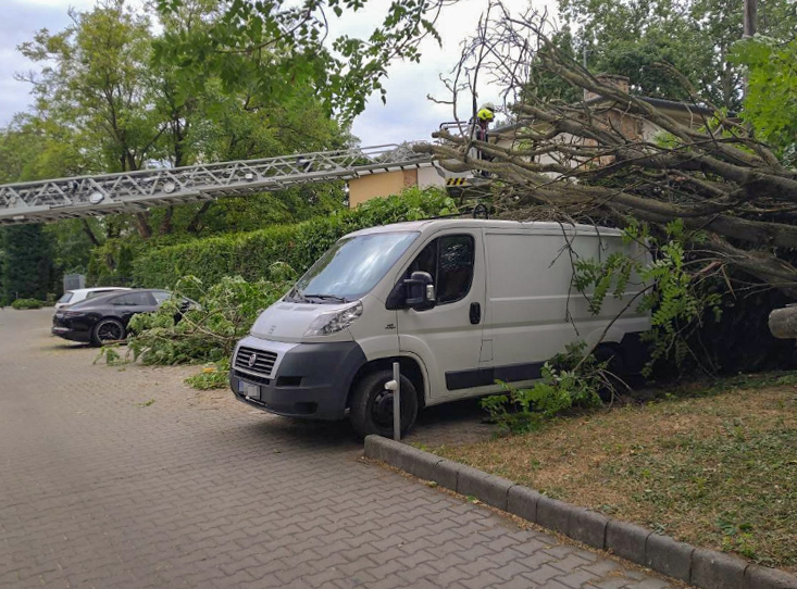 kidoltfa 1 1 of 1